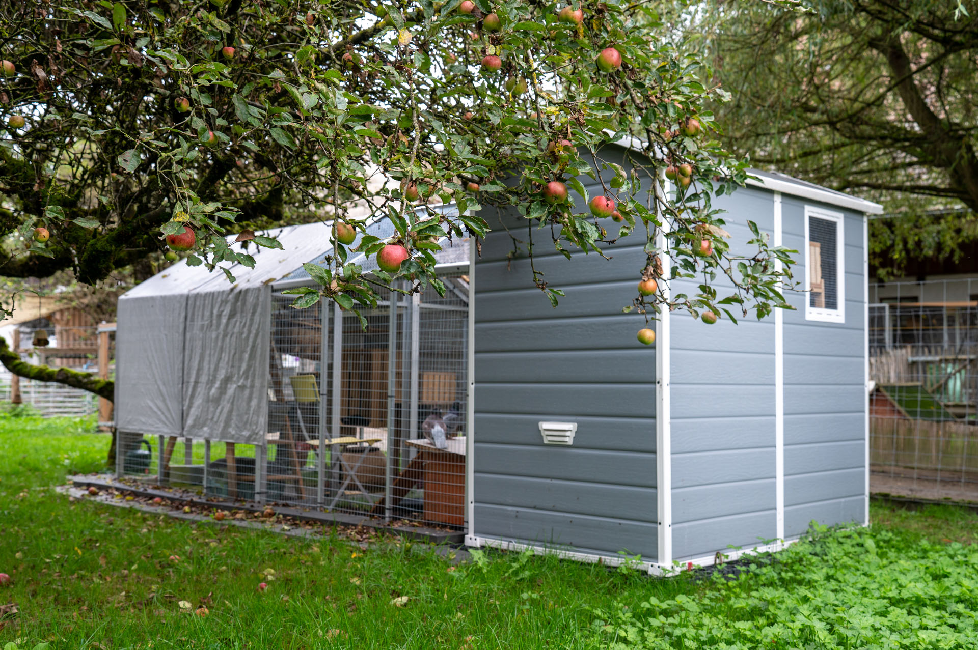 Handicap-Voliere für Tauben